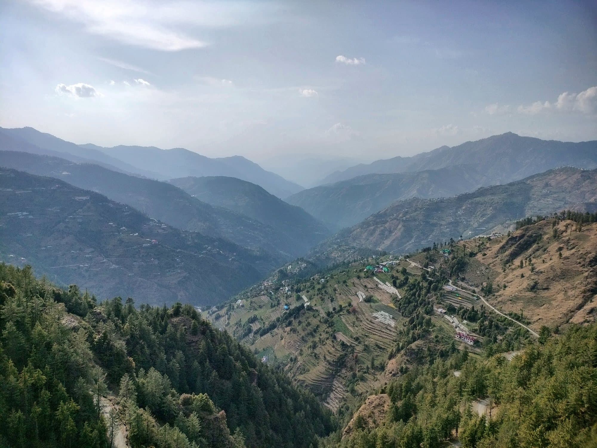Pine-forested valley and layered hills seen from Pinewood in Kufri